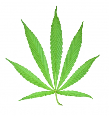 Drogentest auf Cannabis